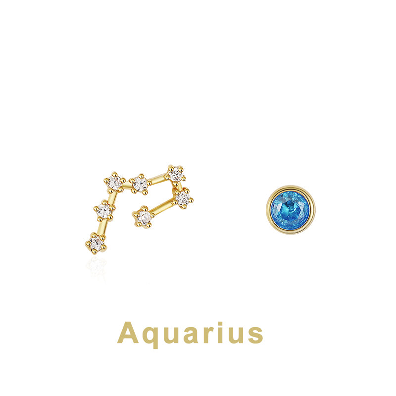 Twelve Constellation Earring