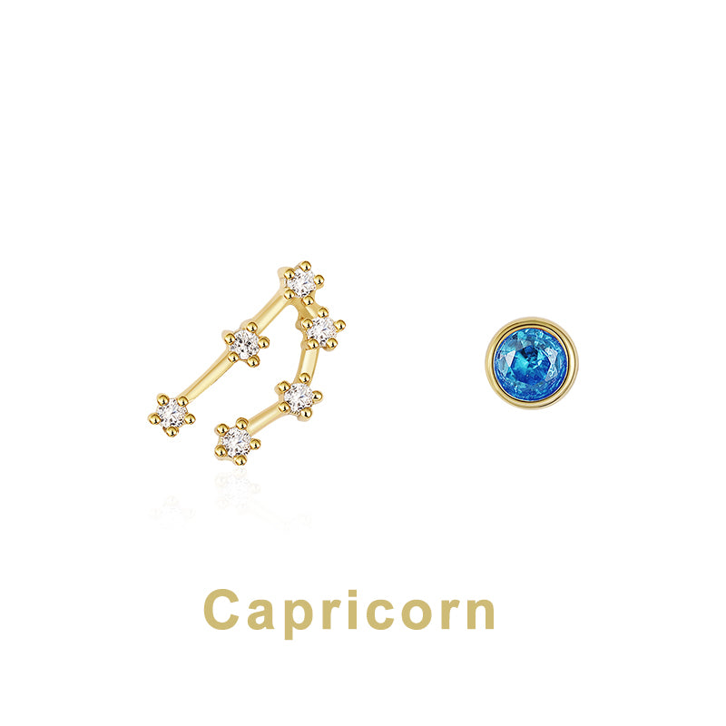 Twelve Constellation Earring