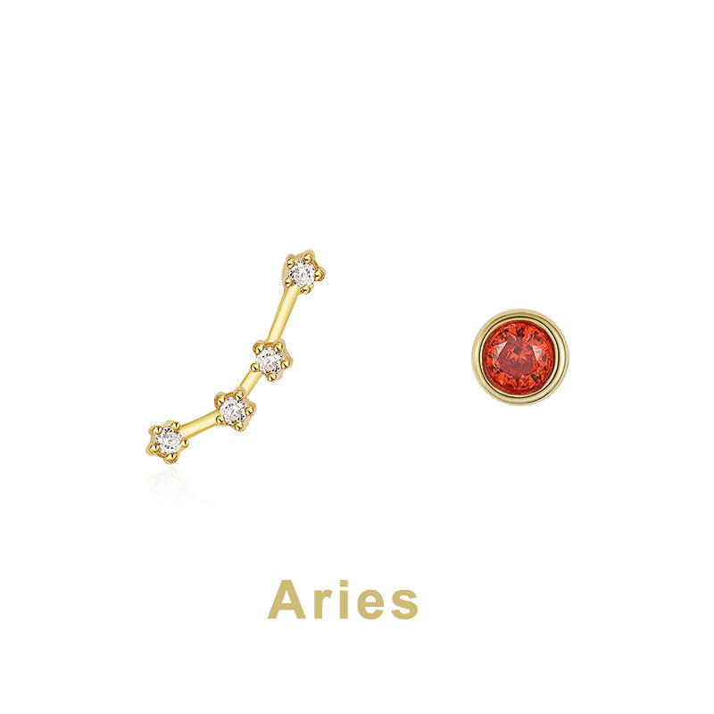 Twelve Constellation Earring