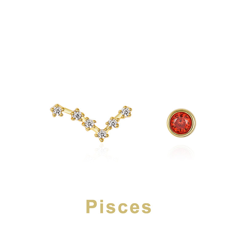 Twelve Constellation Earring
