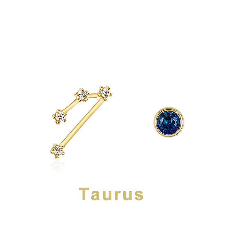 Twelve Constellation Earring