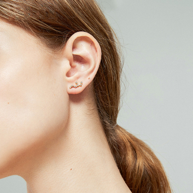 Twelve Constellation Earring