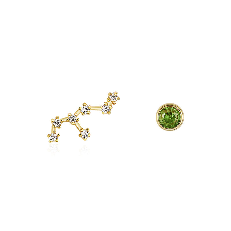 Twelve Constellation Earring