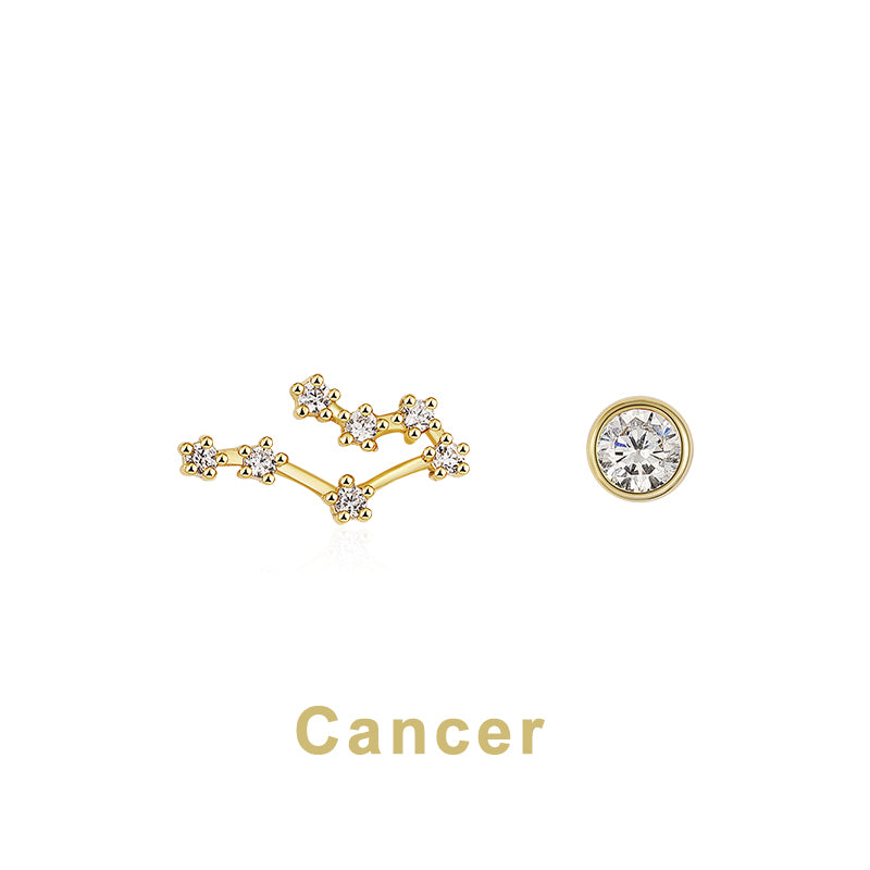 Twelve Constellation Earring