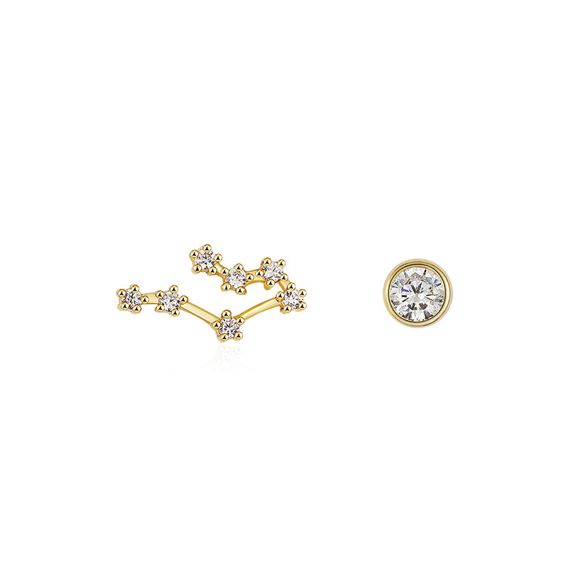Twelve Constellation Earring