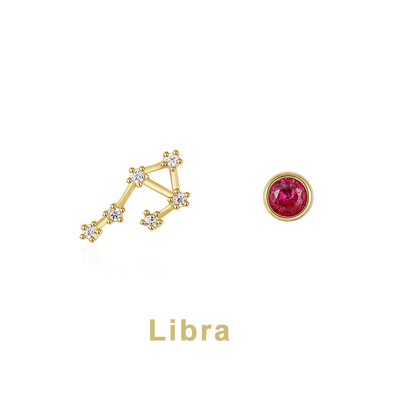 Twelve Constellation Earring