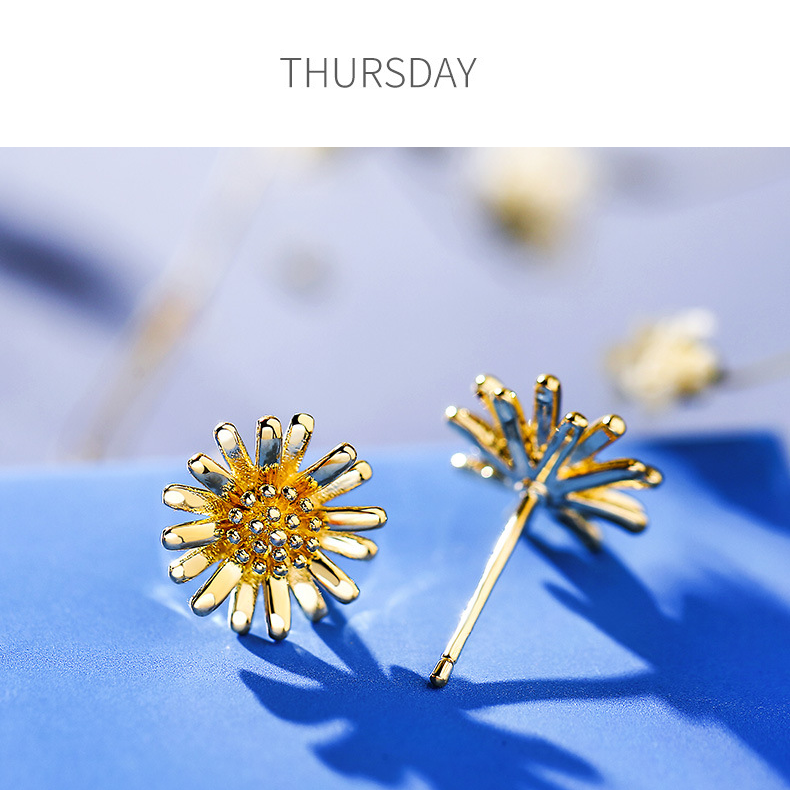 2021 One Week Set Fashion Sweet Temperament Stud Earrings
